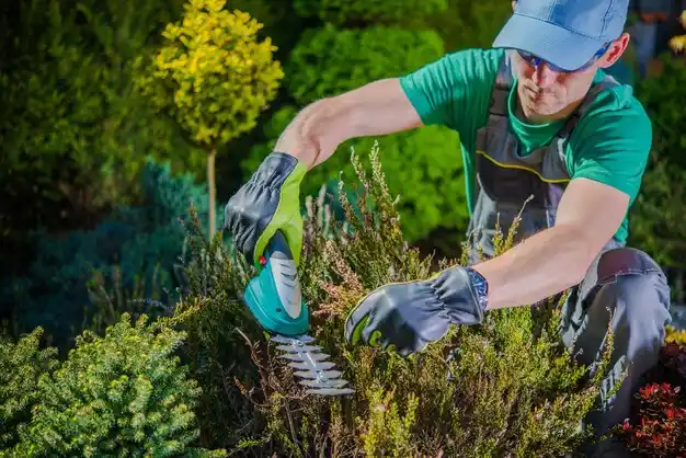 landscaping services Hodge